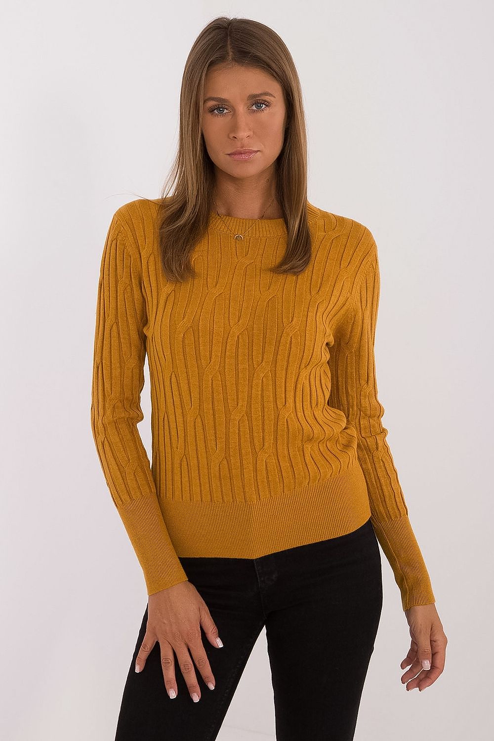  Pulover model 199754 AT 