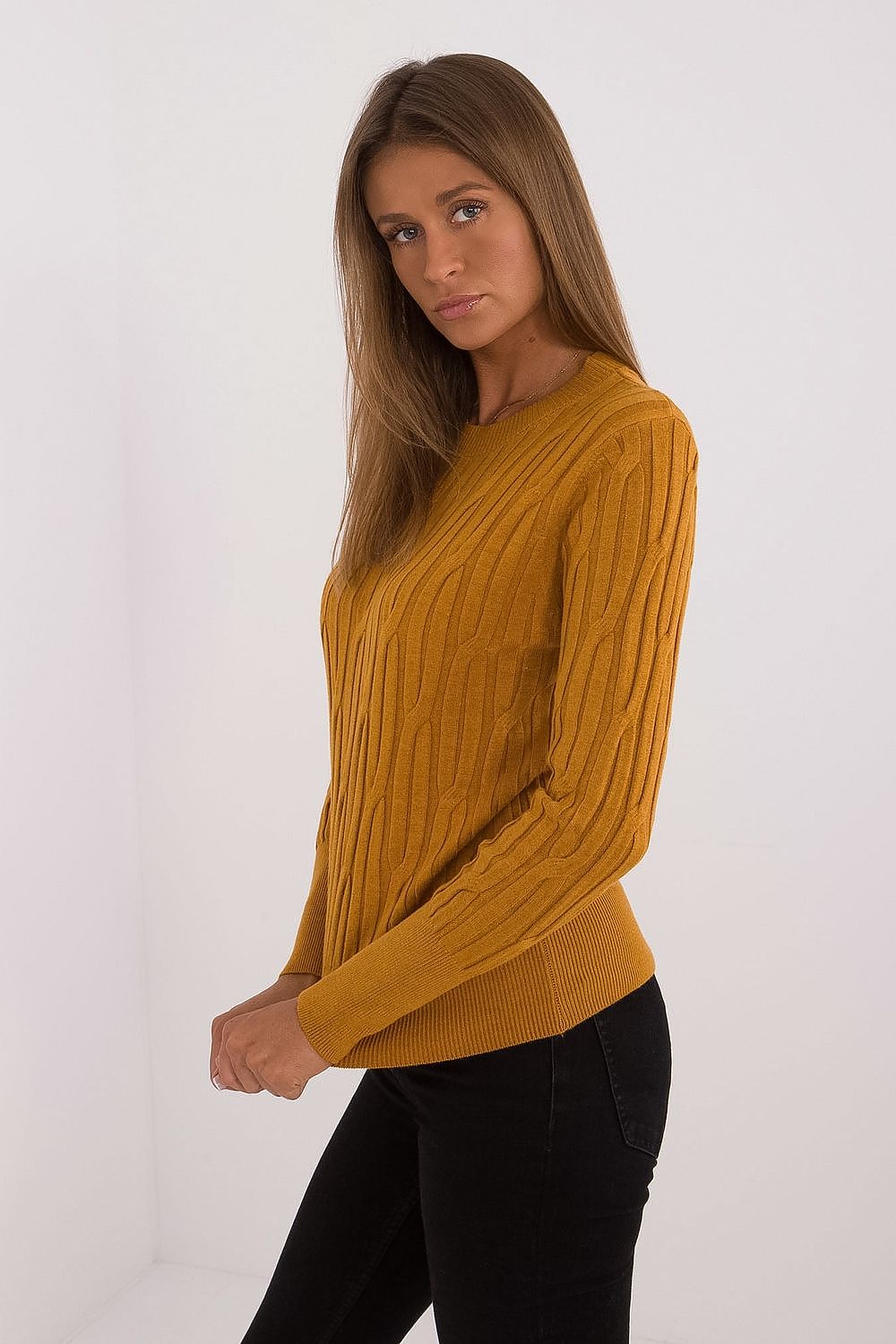  Pulover model 199754 AT 