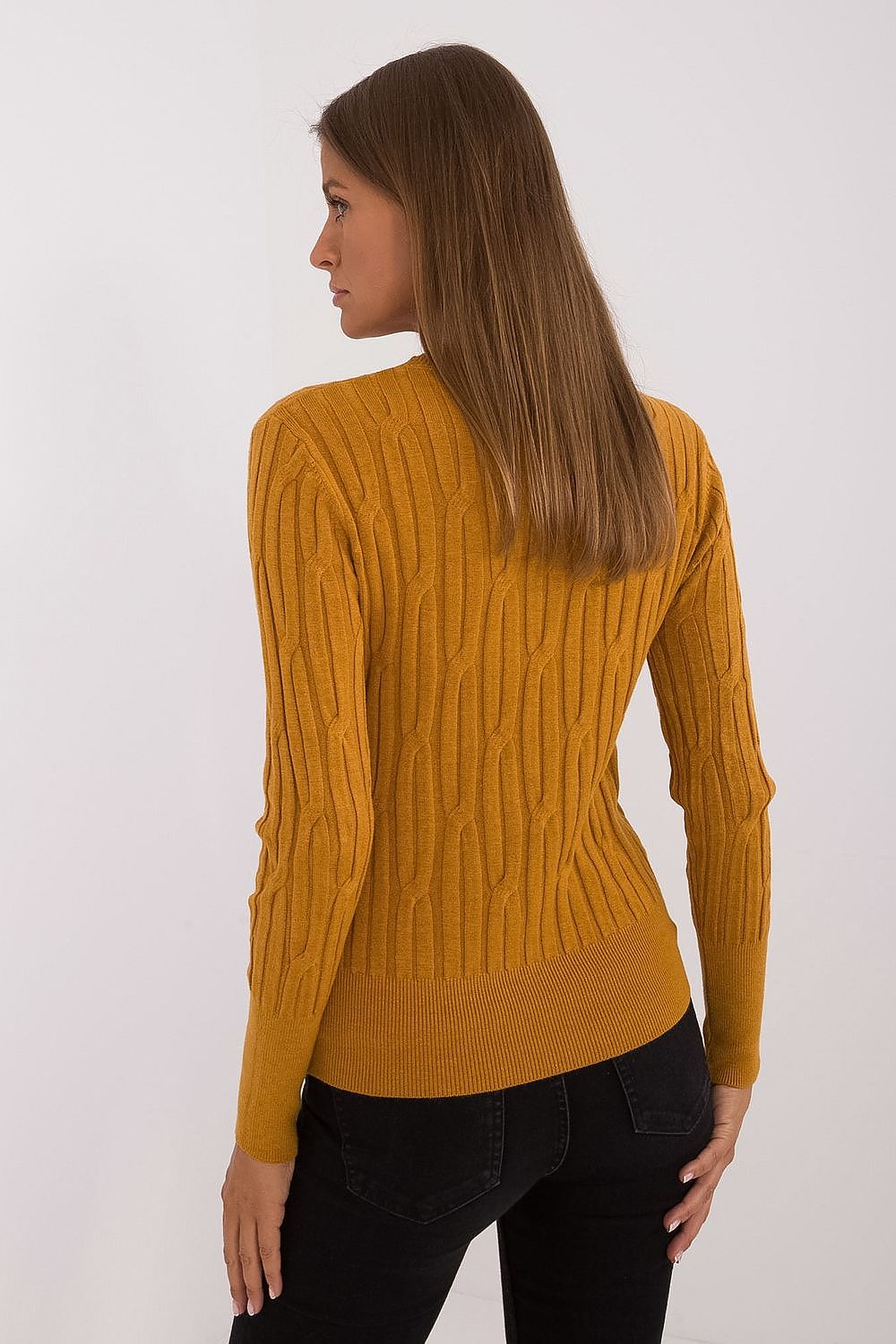  Pulover model 199754 AT 
