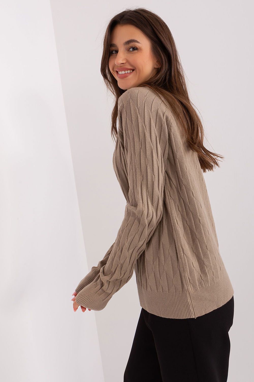  Pulover model 186823 AT 